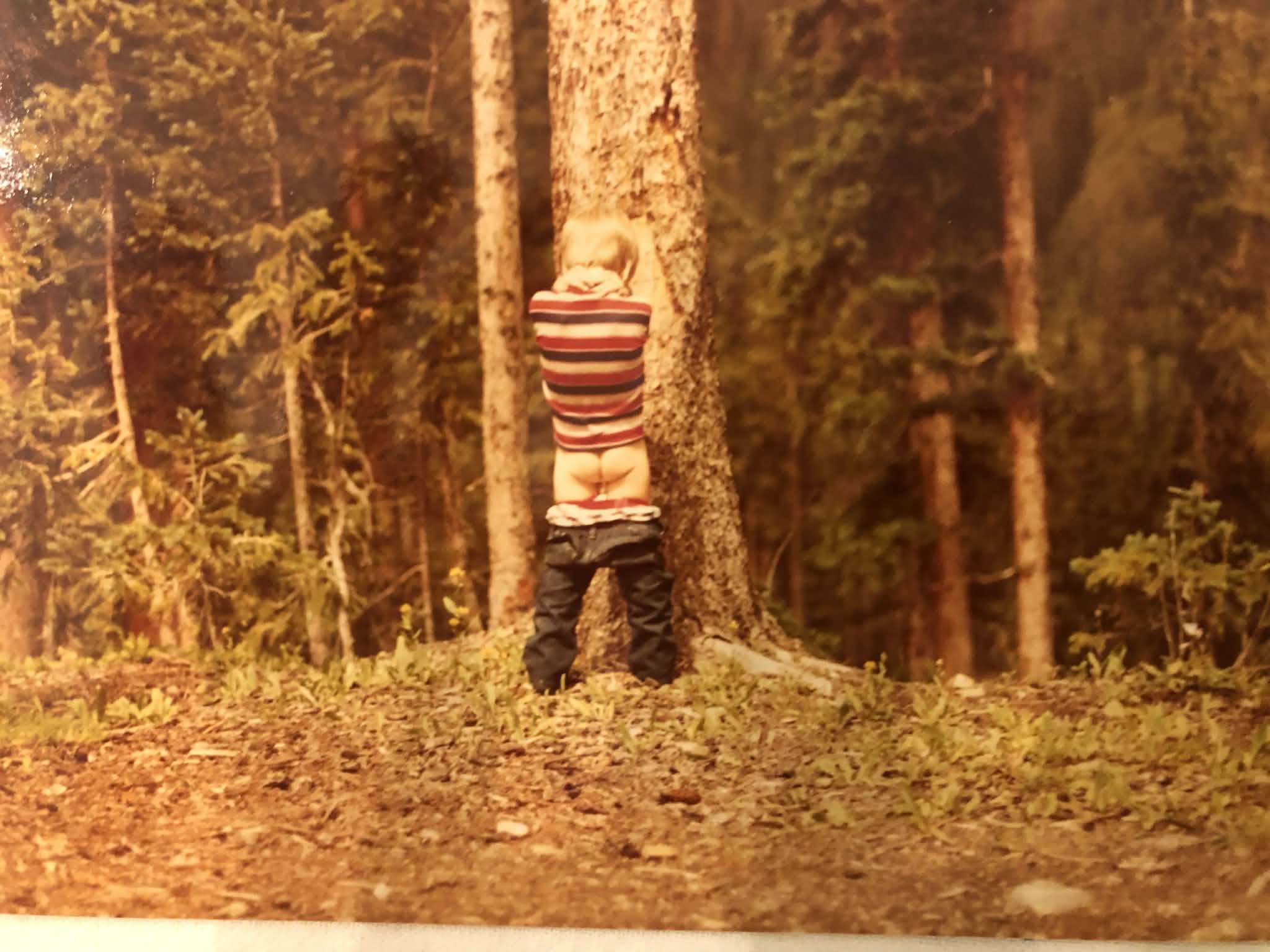 Cabin view from the path